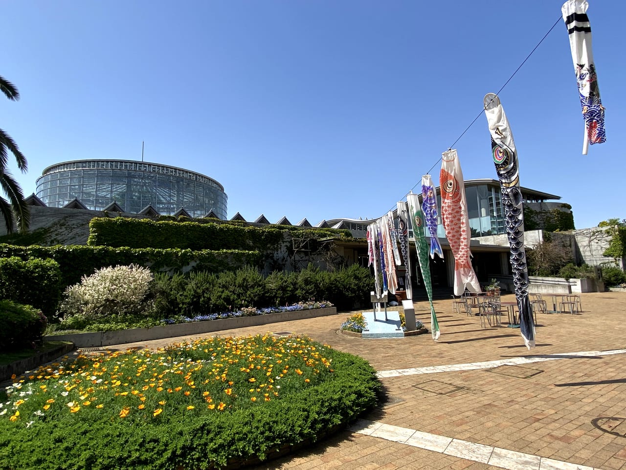 千葉市美浜区 千葉市花の美術館は花のパワースポット 鯉のぼりと花のコラボレーションが期間限定で楽しめます 号外net 千葉市 稲毛区 花見川区 美浜区