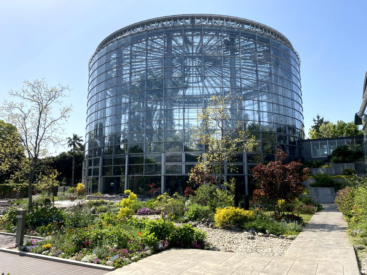 千葉市美浜区 千葉市花の美術館は花のパワースポット 鯉のぼりと花のコラボレーションが期間限定で楽しめます 号外net 千葉市 稲毛区 花見川区 美浜区