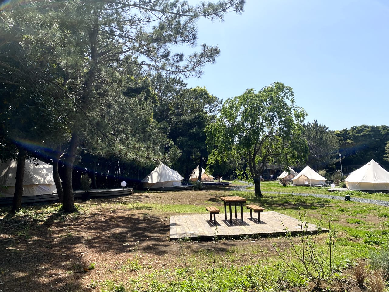 千葉市美浜区 稲毛海浜公園 Small Planet内に出来た新しいカフェはオープンテラス席が気持ち良い オリジナルのマリトッツォがいただけます 号外net 千葉市稲毛区 花見川区 美浜区